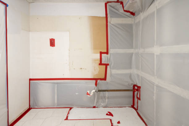 Best Black Mold Removal  in Gardner, MA