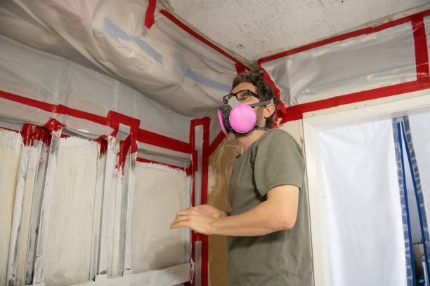 Best Biohazard Mold Removal  in Gardner, MA