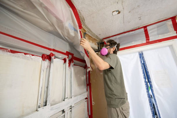 Best Crawl Space Mold Remediation  in Gardner, MA