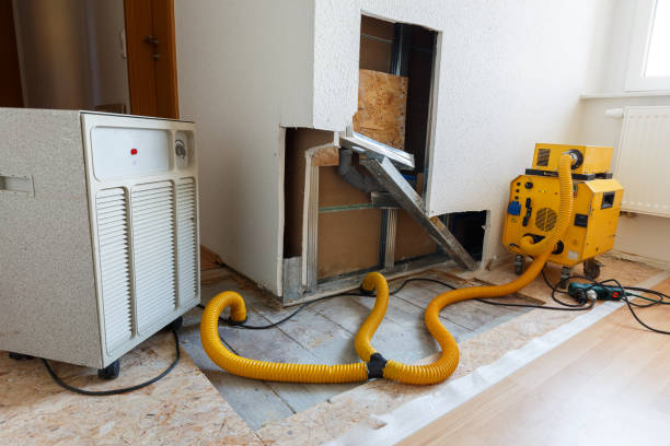 Best Water Damage & Mold Remediation  in Gardner, MA